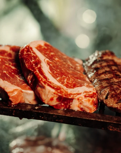 EXPERIÊNCIA CHURRASCO REAL